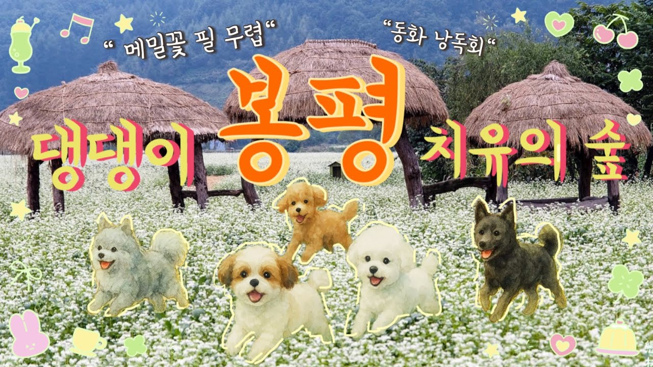 [강아지랑 봉평 치유의숲-봉평 애견동반 가볼만한곳] 반려견여행사 네발트립 첫번째여행, 효석 문학의숲, 배우 원빈 단골이라는 터득골 북카페에서 동화책 오냐나무 동화 낭독회