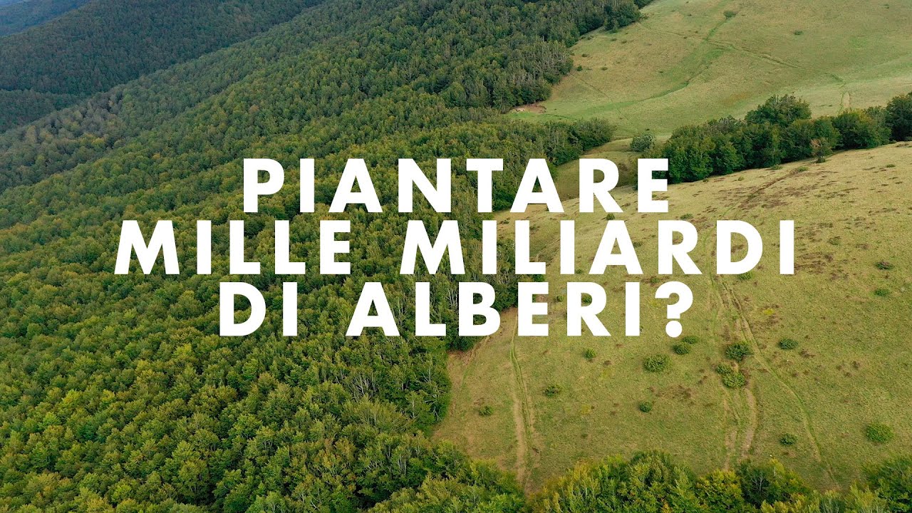 CAMBIAMENTO CLIMATICO - Piantare alberi ci salverà?