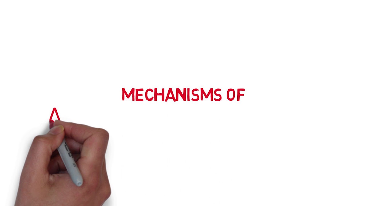CLL Whiteboard #2: Mechanisms of Action of Anti-CD20 Agents