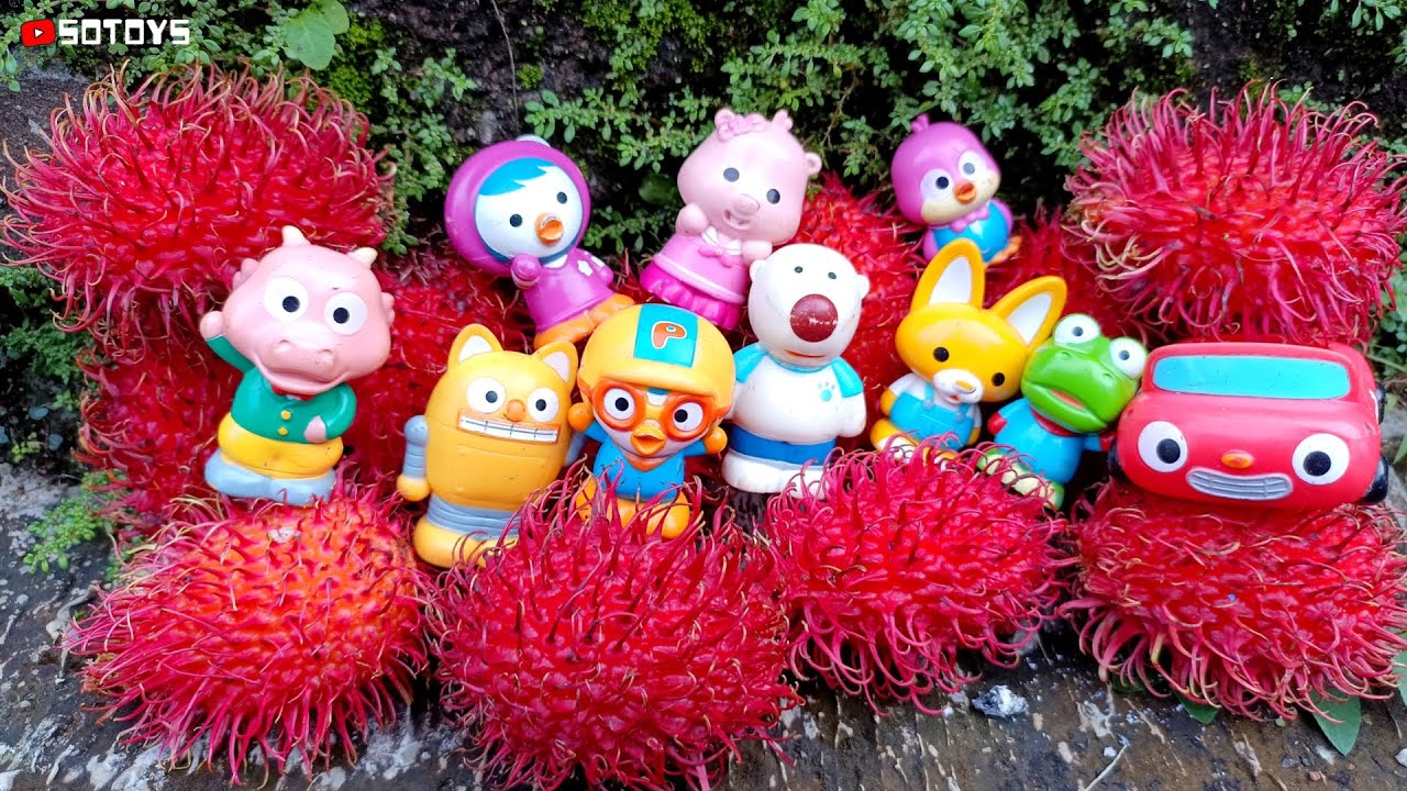 Berbagi Buah Rambutan Kepada Pororo, Patty, Loopy, Harry, Tongtong, Edy, Poby, Crong