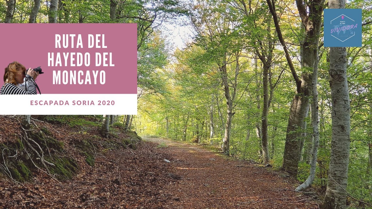 2 Rutas fáciles por los Hayedos del Moncayo (PEÑARRAJADA) - Escapada de 4 días a SORIA - Día 2 y 3