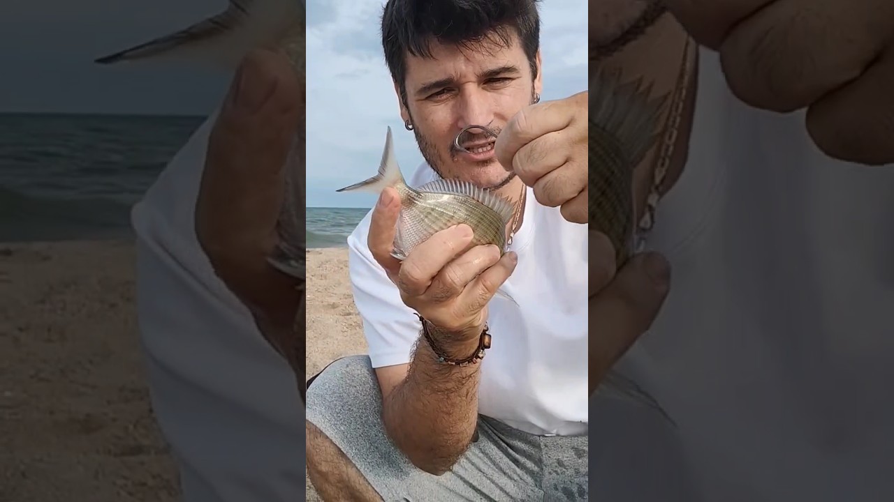 c&oacute;mo pescar al vivo