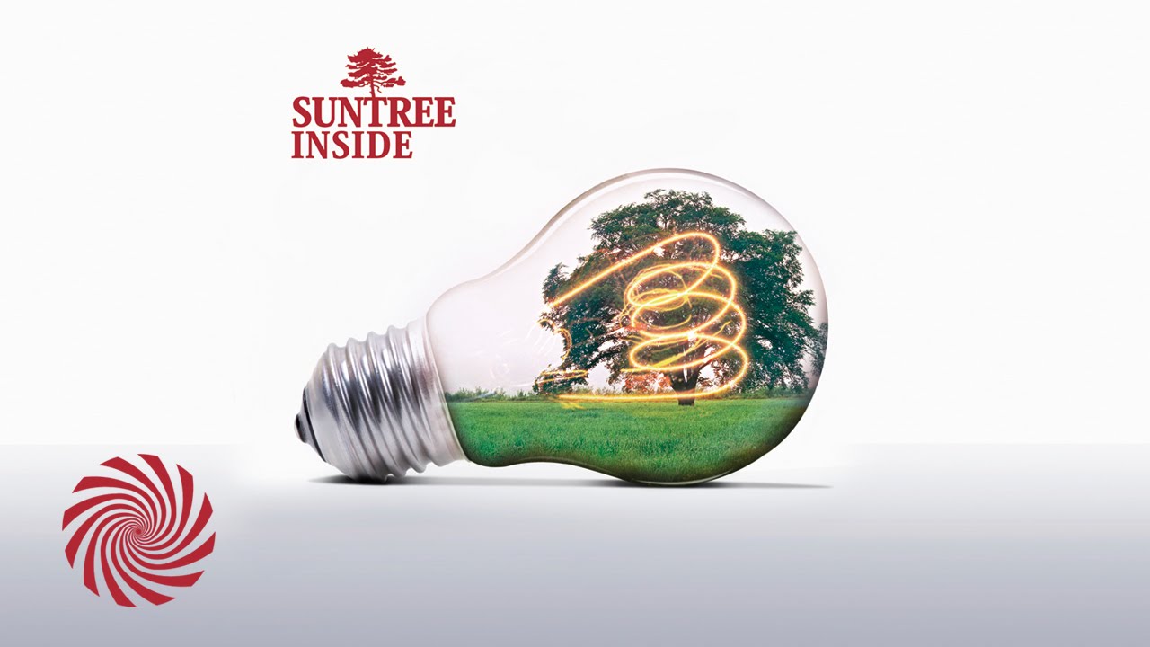 Suntree - Inside