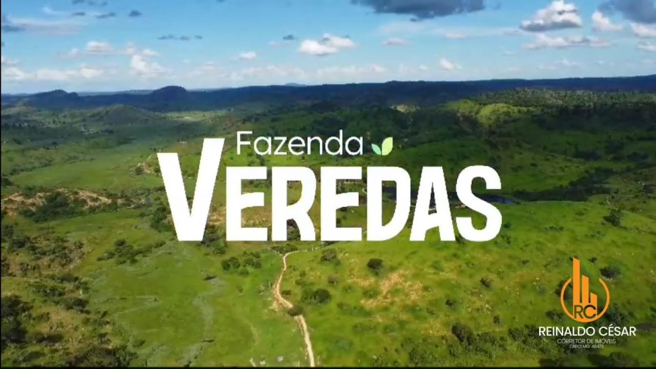 FAZENDA VEREDAS | 65 ALQUEIRES | MINAS GERAIS