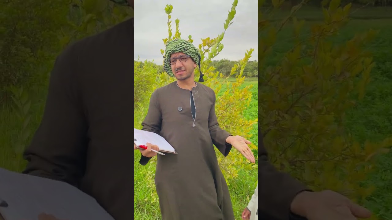 مرات سعيد الاسطوره واخده قرض بمليون جنيه وعم شوقي مش صابر😂ضحك السنين