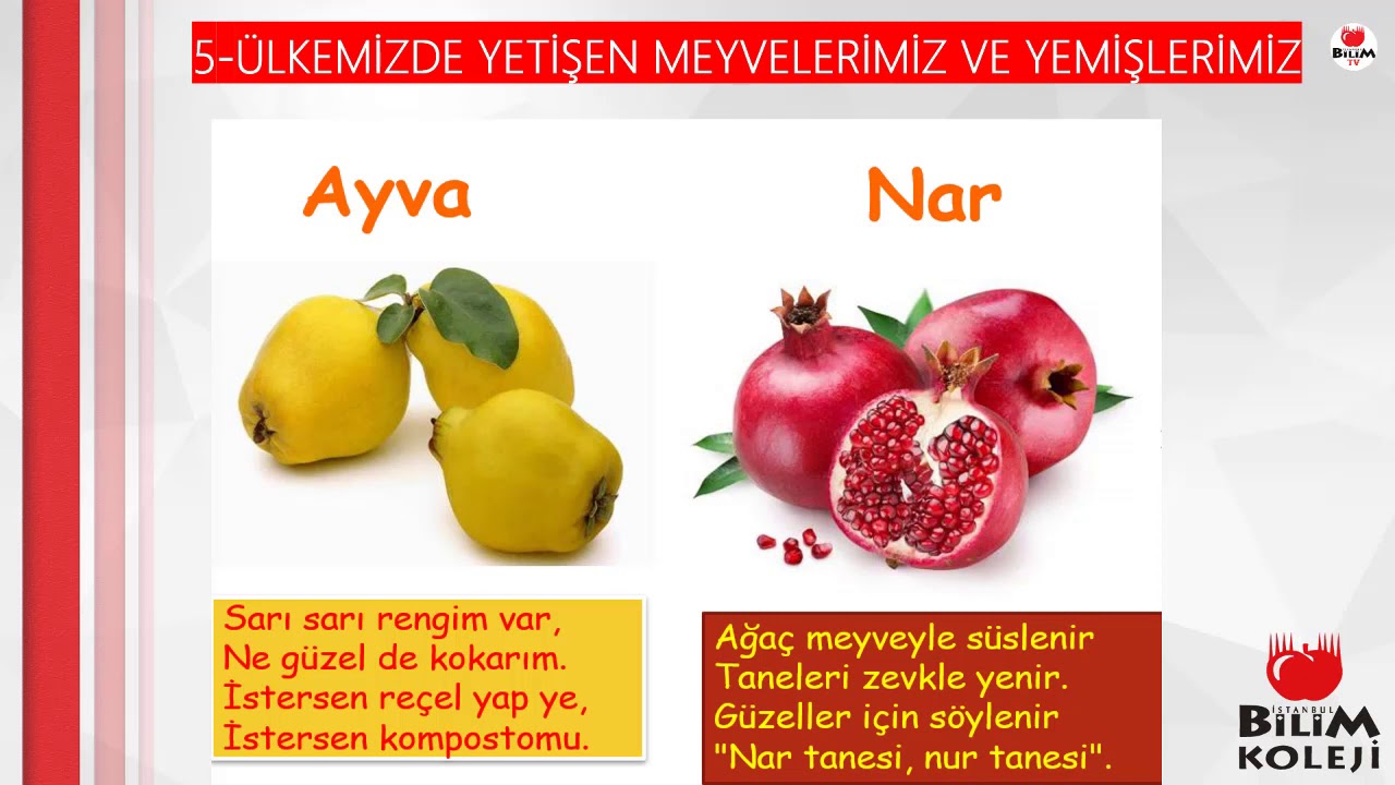 TUTUM YATIRIM VE TÜRK MALLARI HAFTASI