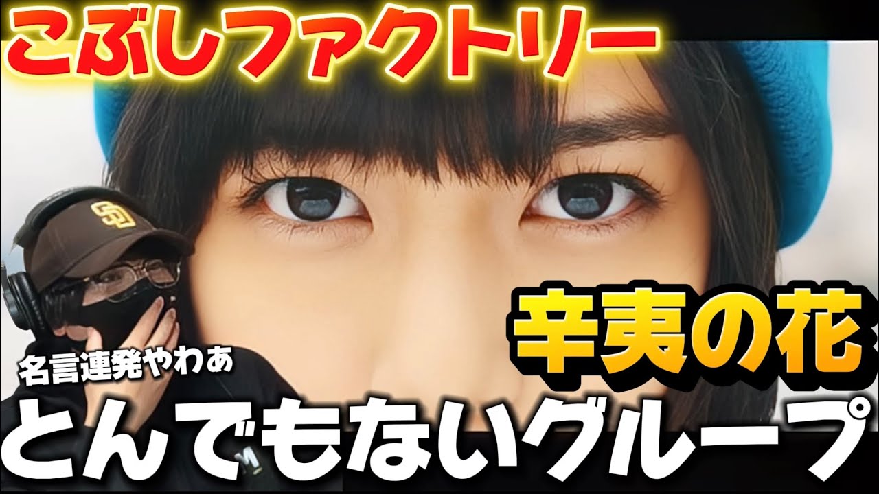 【初見】ああ…沁みる。花が咲くタイミングは、みんな違う。でも、ちゃんと咲く時は来る！！こぶしファクトリー『辛夷の花』リアクション‼️