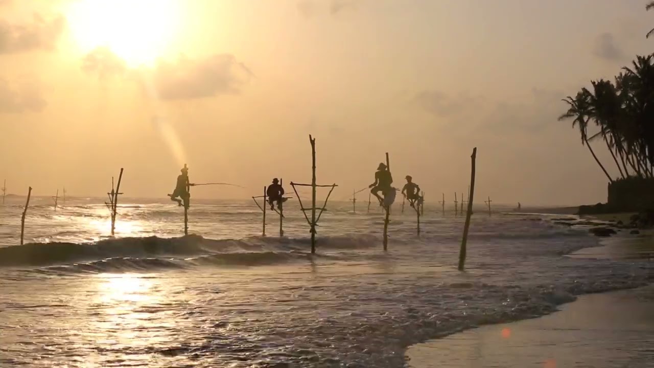 10 Minute Meditation Music -  Sri Lanka 🇱🇰 - Stilt Fishing Observation