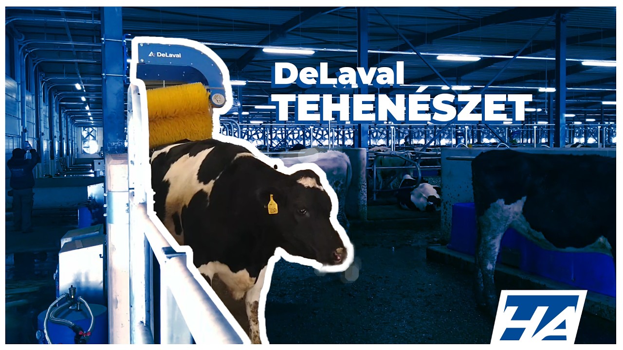 A tej útja és a DeLaval rendszer