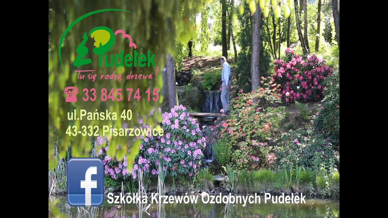 Szkółka Krzewów Ozdobnych PUDEŁEK 2015