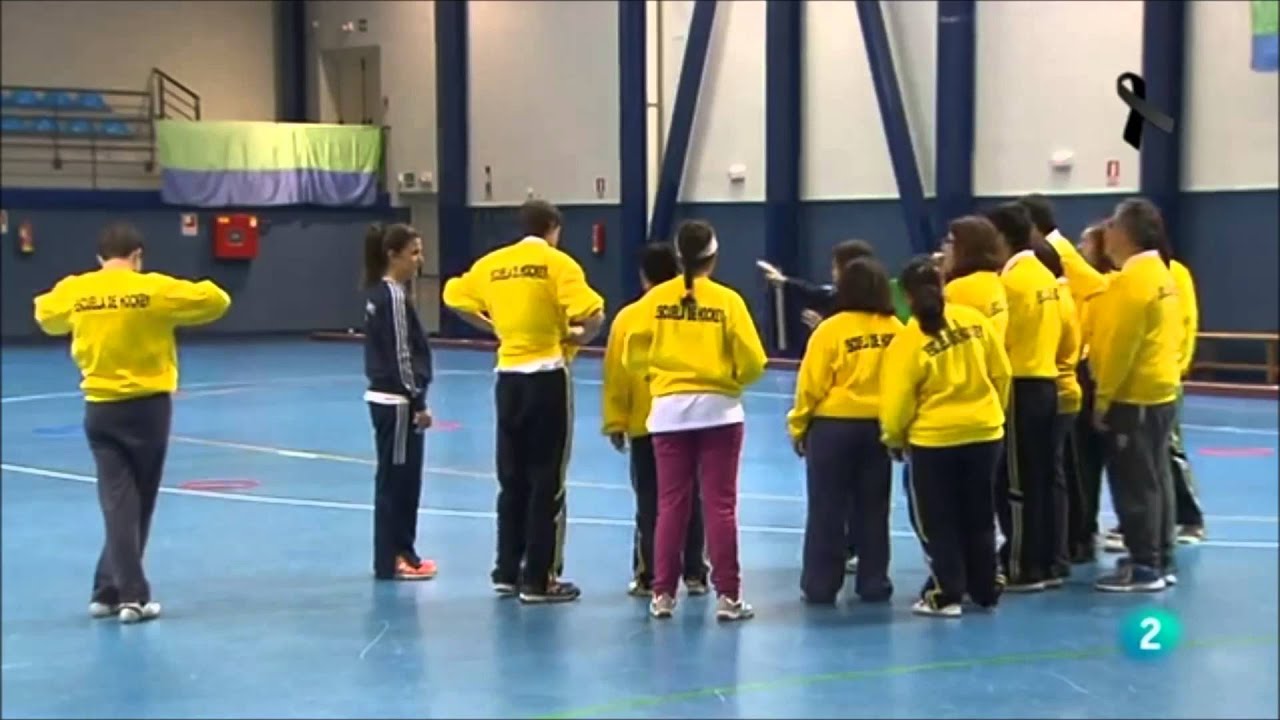 Special Hockey, deporte e integraci&oacute;n