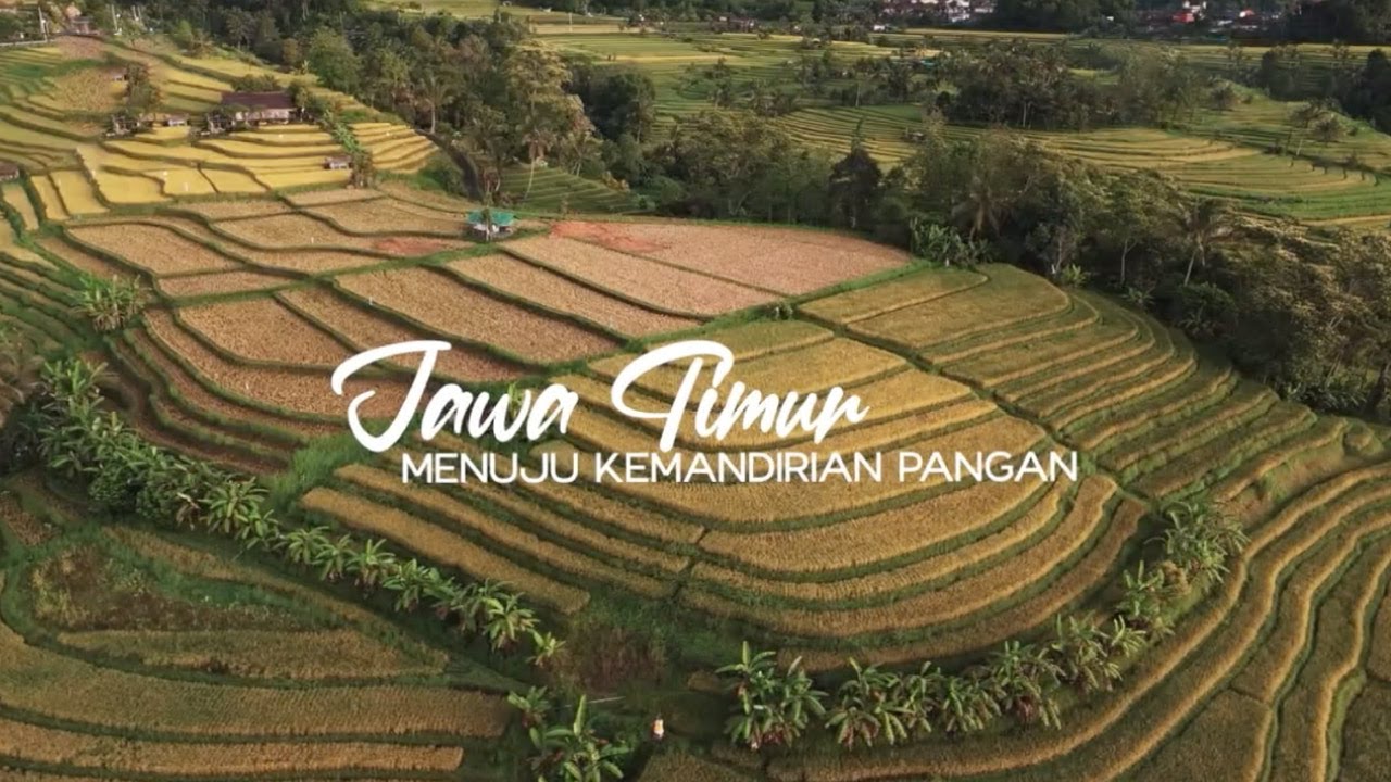 Jawa Timur Menuju Kemandirian Pangan | Ruang Perlemen