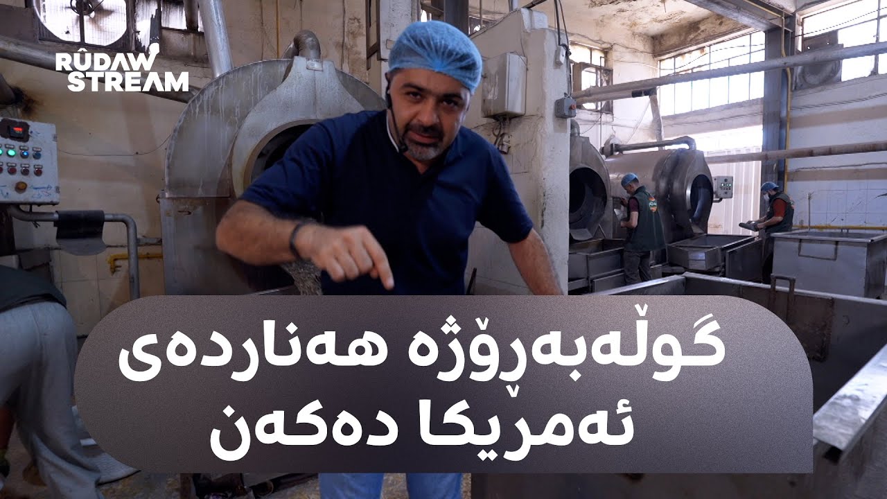 Made In Kurdistan- مەید ئین کوردستان- گوڵەبەڕۆژەی کوردستان لە لەندەن و واشنتن دەفرۆشرێت