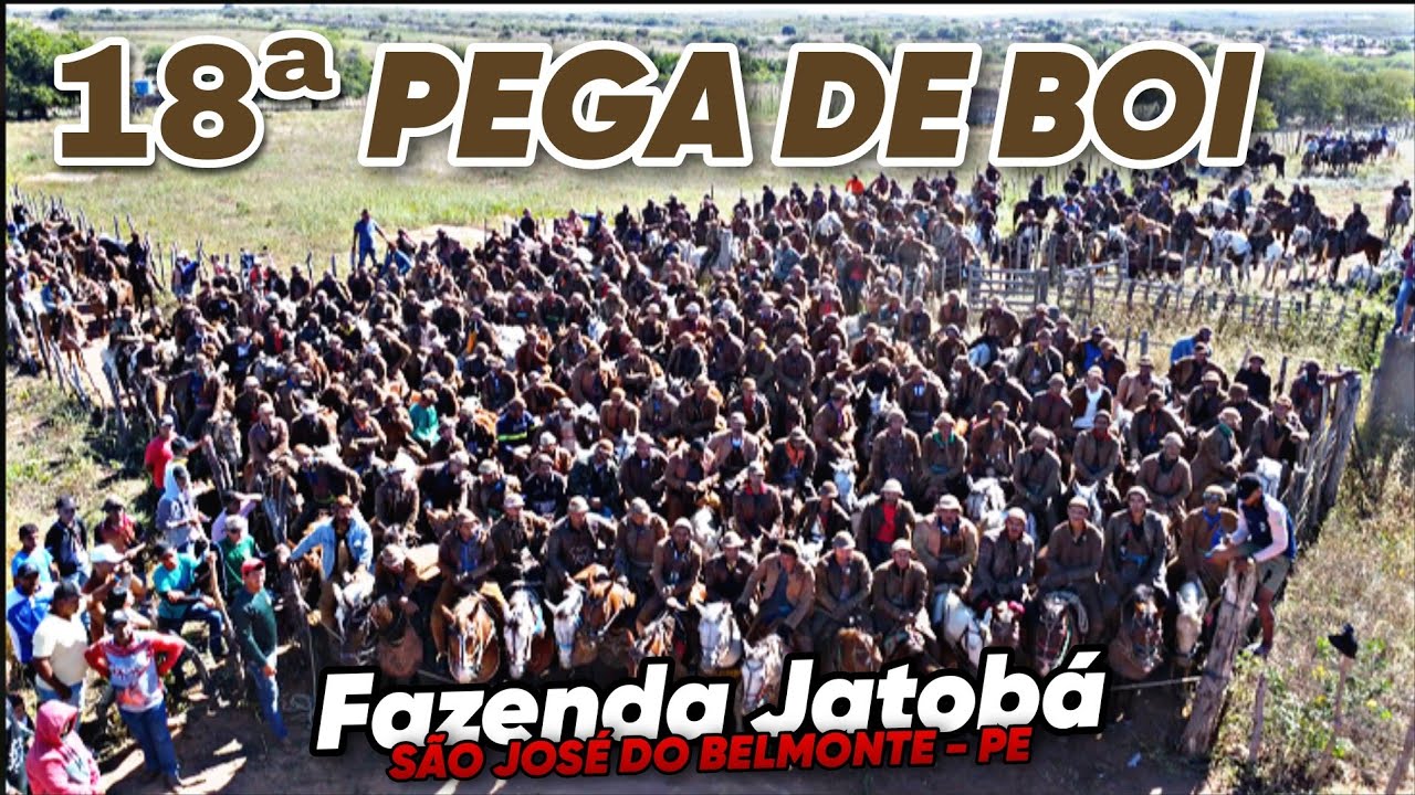 TRADIÇÃO E CULTURA NA PEGA DE BOI DA FAZENDA JATOBÁ