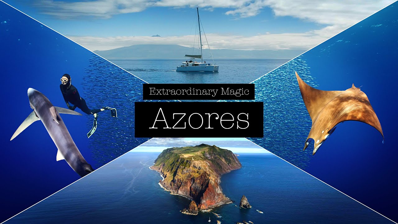 Extraordinary Magic- Diving and Sailing the Azores