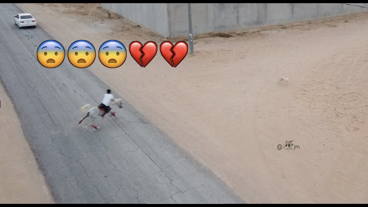 خيال سعودي يستعرض مهارات ركوب الخيل ٥ 😍 اكشن مع كلاب وكان بيطيح !😨