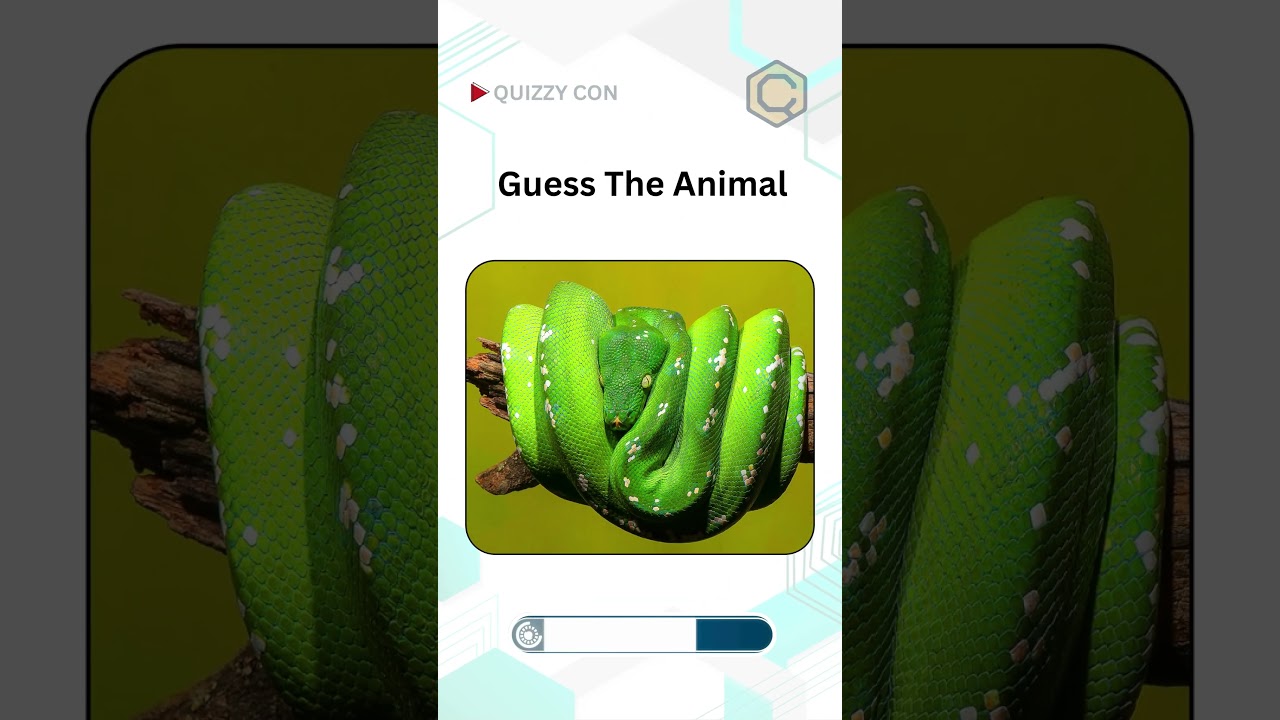 Animal Guessing Game -409 | Can you Guess these Animal Names | Animal Names |