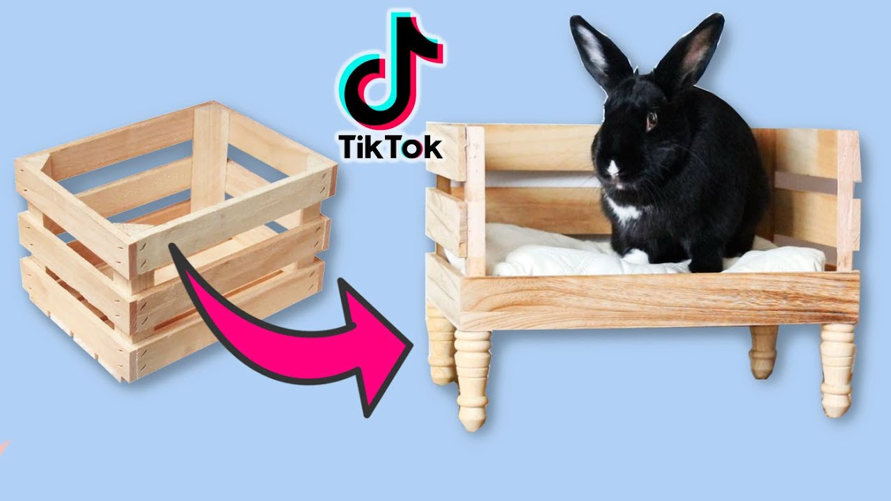 4 Life Saving Rabbit TikTok Hacks You Should Know!