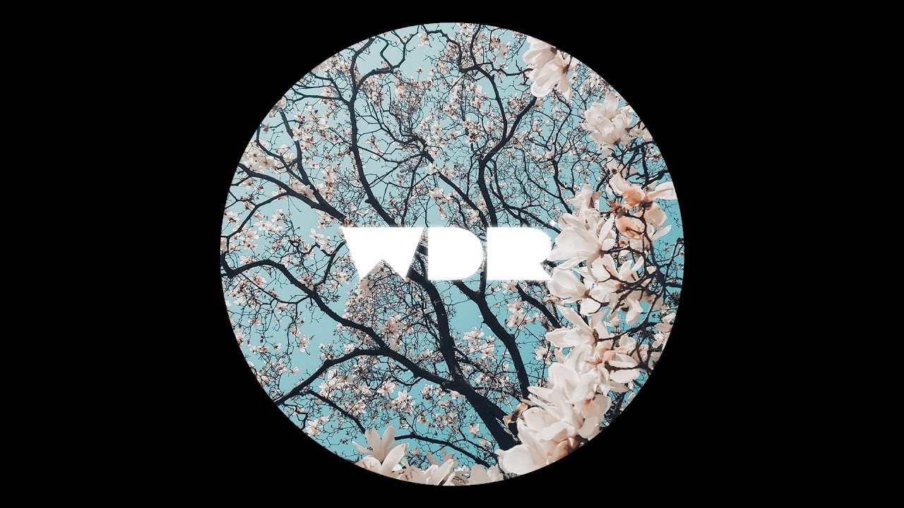 Suzanne Vega, DNA - Tom's Diner (Gaviño Edit)
