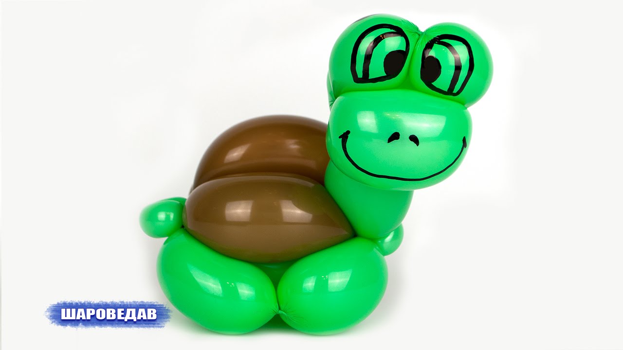 🐢Turtle of balloons