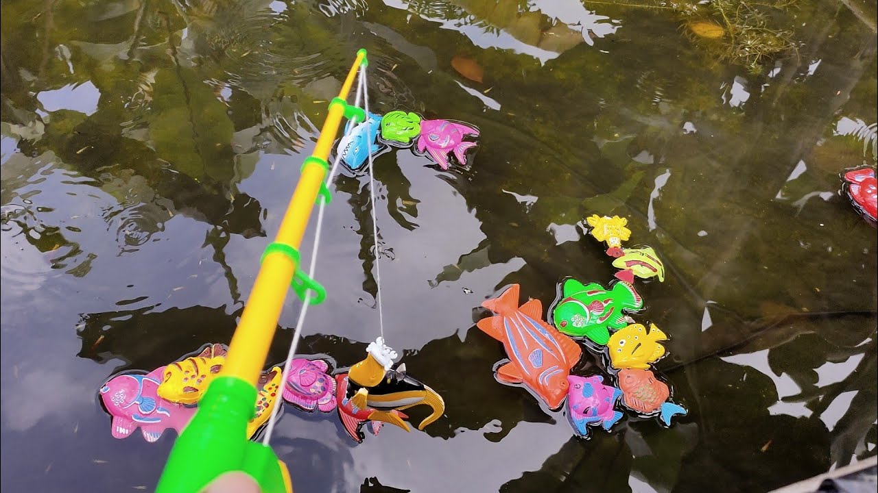 fishing many sea animal in fish ponds, angel fish, clown fish, shark, whales, dolphins - Part111