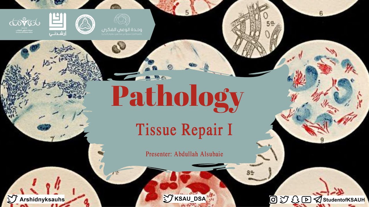 Tissue Repair I
