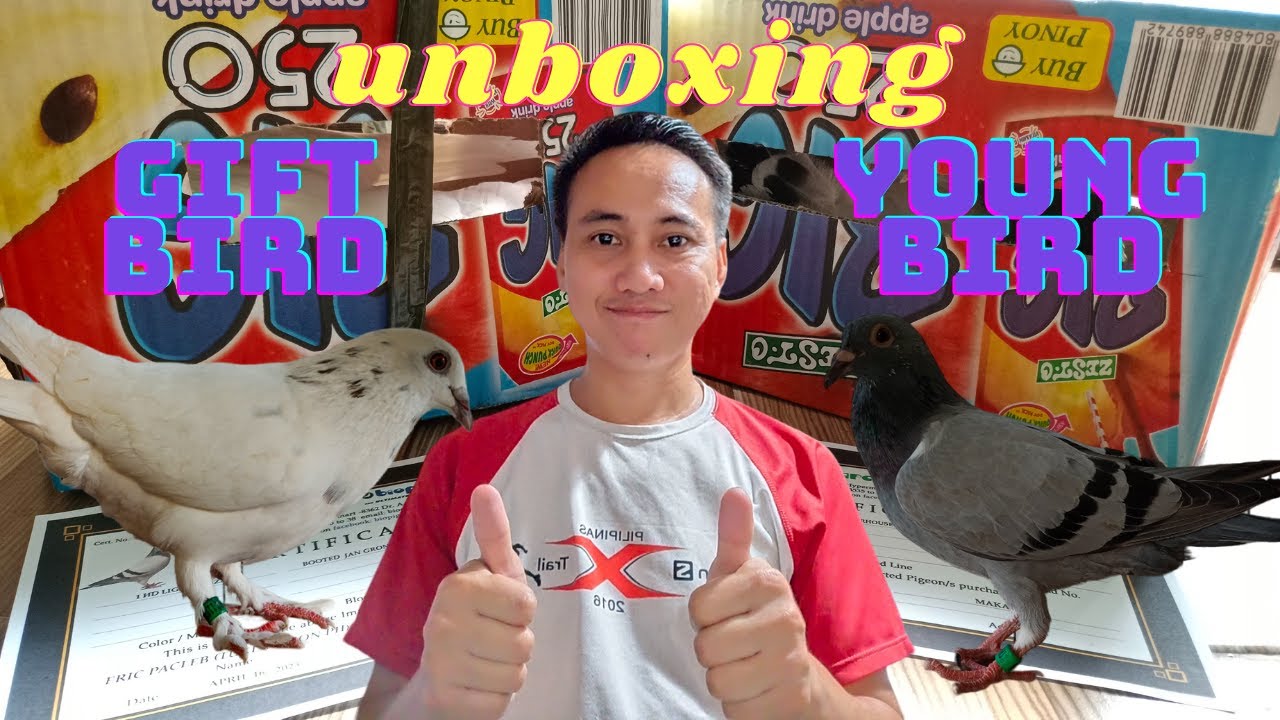 Anong itsura ng tig-1k na kalapati sa Bio Pigeons? | Unboxing 3rd Gift Bird Foundation Cock