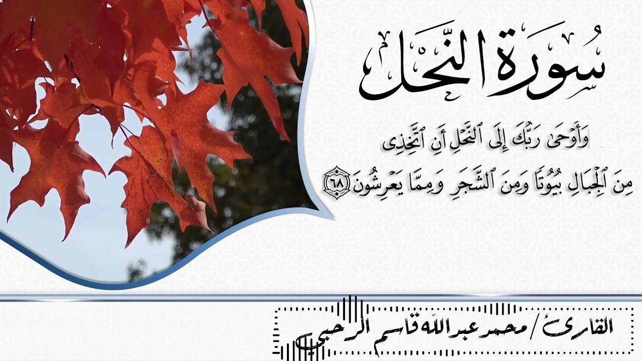 ما تيسر من سورة النحل القارئ /محمد الرحبي