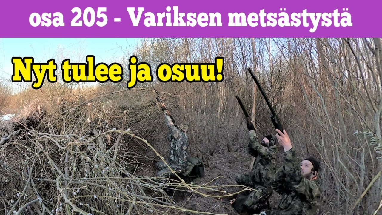 Osa 205 - Variksen metsästystä - 2021/2022