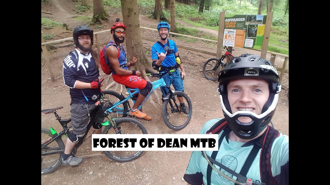 Forest of Dean MTB - What a place to ride!