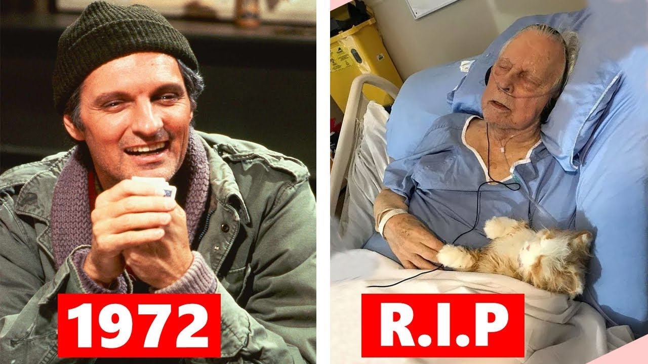 M*A*S*H/ So sehen die Stars HEUTE aus!