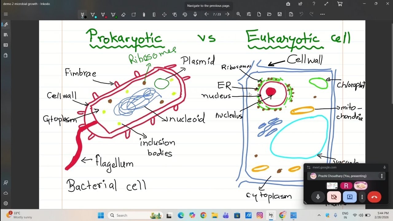 Prokaryotic vs Eukaryotic Cells