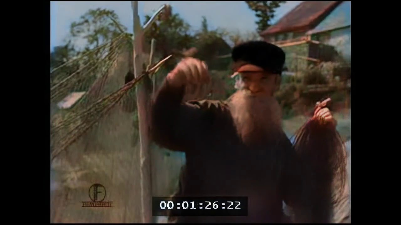 Kallaste linn (1939) Koloreeritud