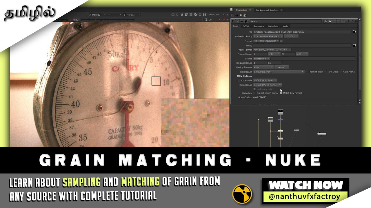 Complete tutorial about Nuke Re-Grain setup | F - ReGrain #CGKalvi