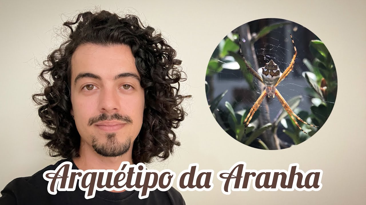 Arquétipo da Aranha | Minha experiência