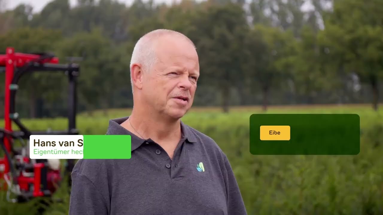 Heckenpflanzentotal - Eibe