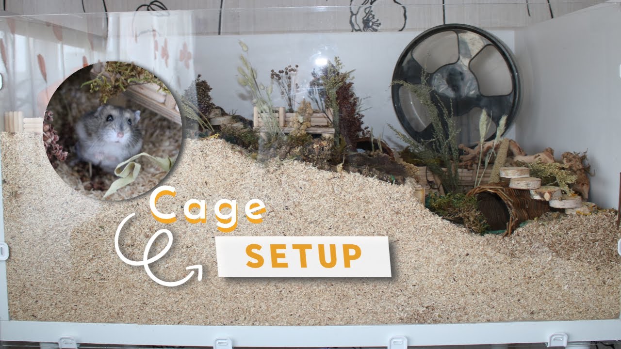 Natural German Linnmon Hamster Cage | World With Hamsters