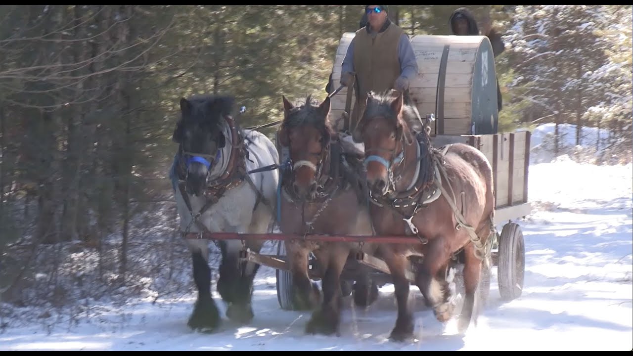 Horses Haul Cell Tower Equipment