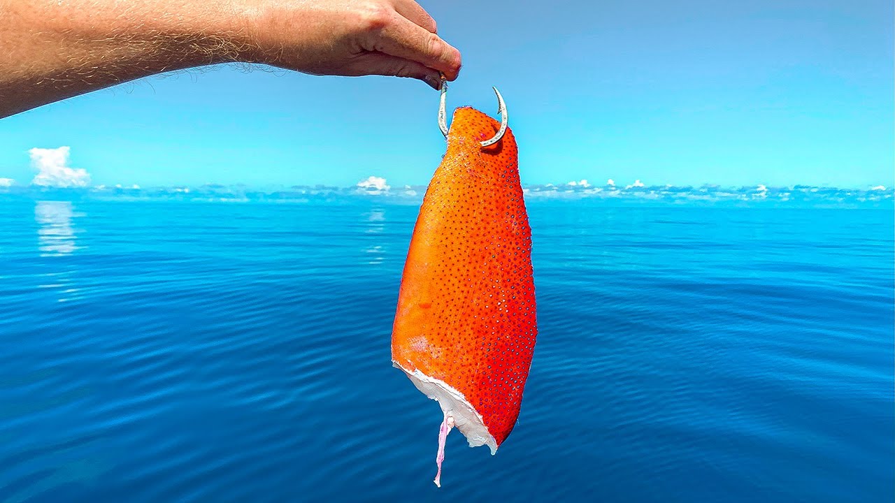 Dropping Big Tropical Fish Baits in Deep Underwater Cave!