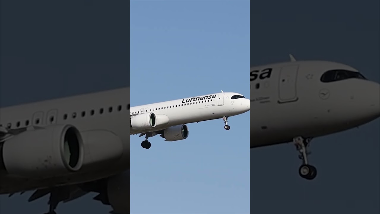 Lufthansa A21N D-AIEM Landing ✈️