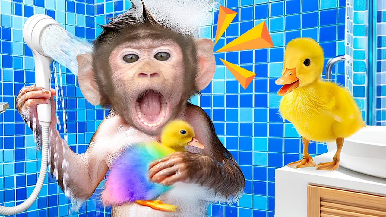 Mono Pepe Se Convierte en Empleado de Spa y Baña a los Patitos - MONO PEPE ESP
