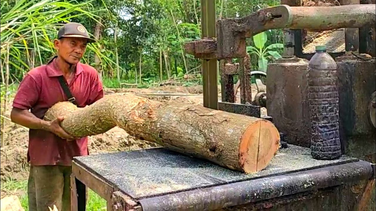 Sawmill,,!! memanfaatkan Pucuk Kayu Akasia Dirajang Reng 2x3 Bahan Kandang..