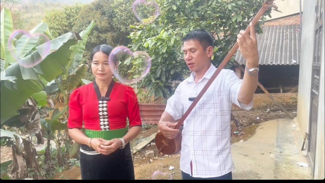 Lò sâm & chị hệ rất hay ae ạ
