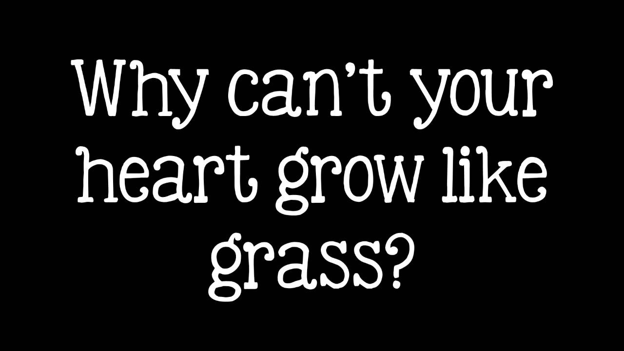Chris Garneau - The Runt [Lyric Video]