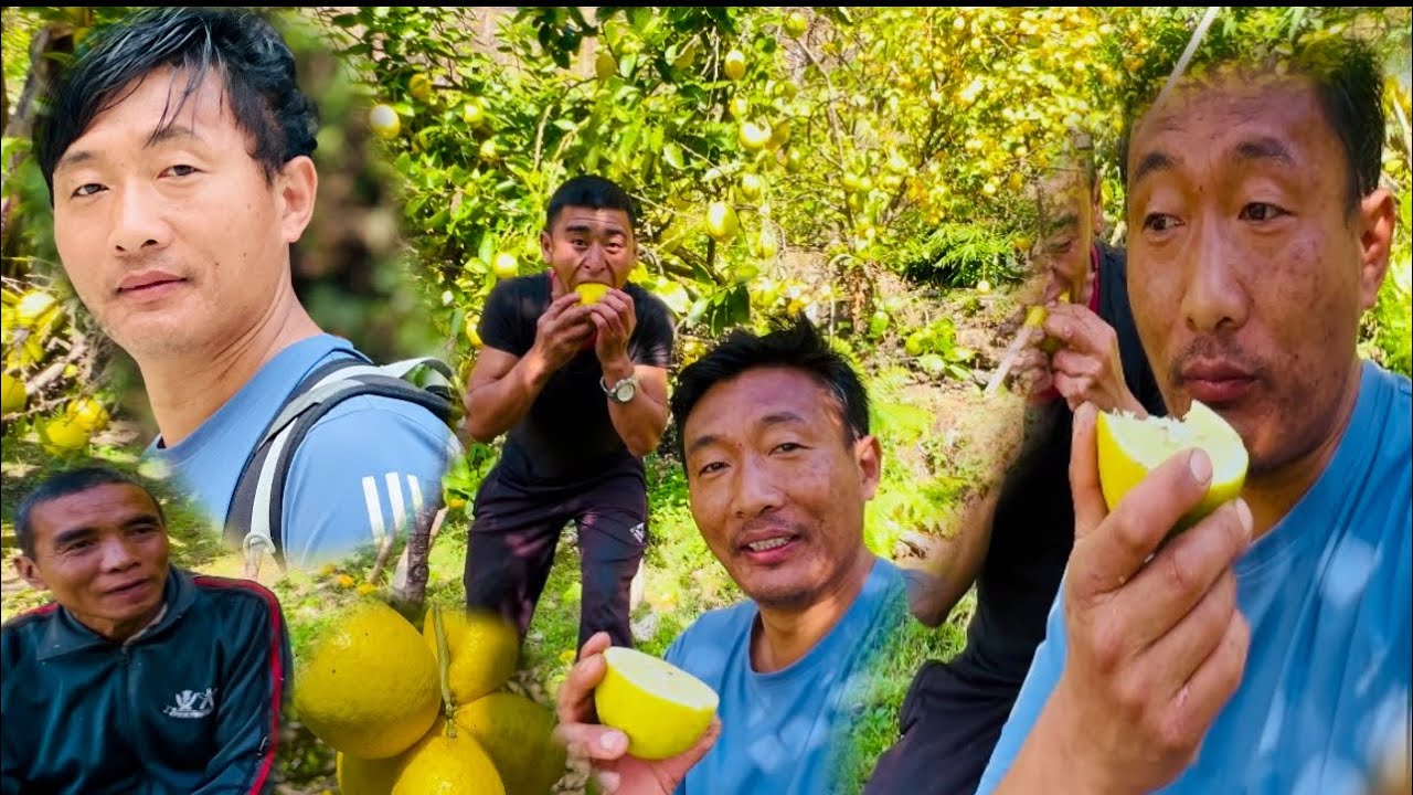 Barpakkai Thulo Amilo Kheti Dhan Prasad Gurung Dai ko 