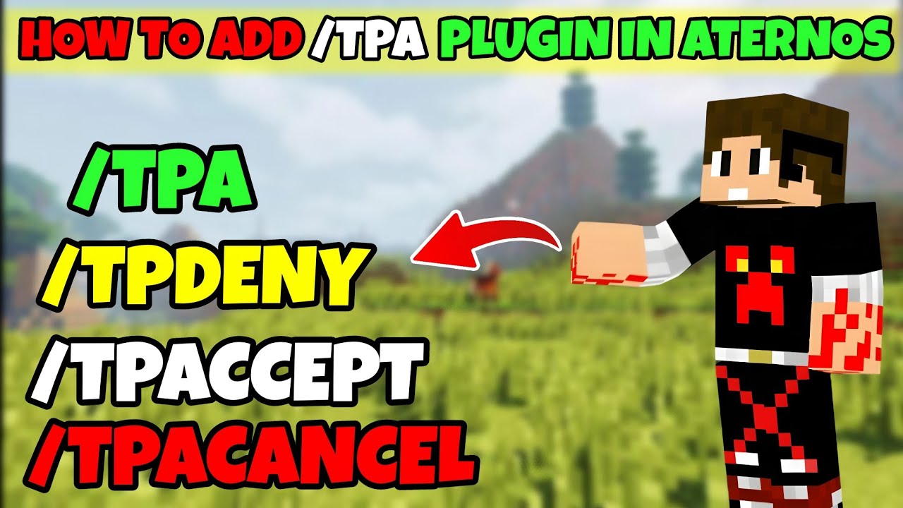 how to give tpa permission in aternos in hindi | how to add tpa plugin in aternos server ( HINDI )
