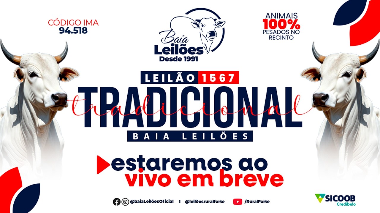 1.567° LEILÃO VIRTUAL DA BAIA LEILÕES, CAMPO BELO - MG, DIA 19/02/26