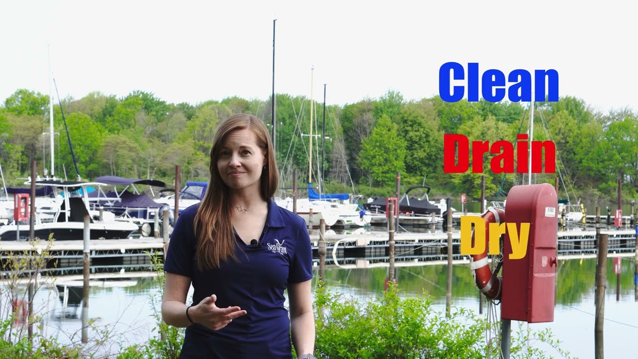 AIS - Clean, Drain, Dry