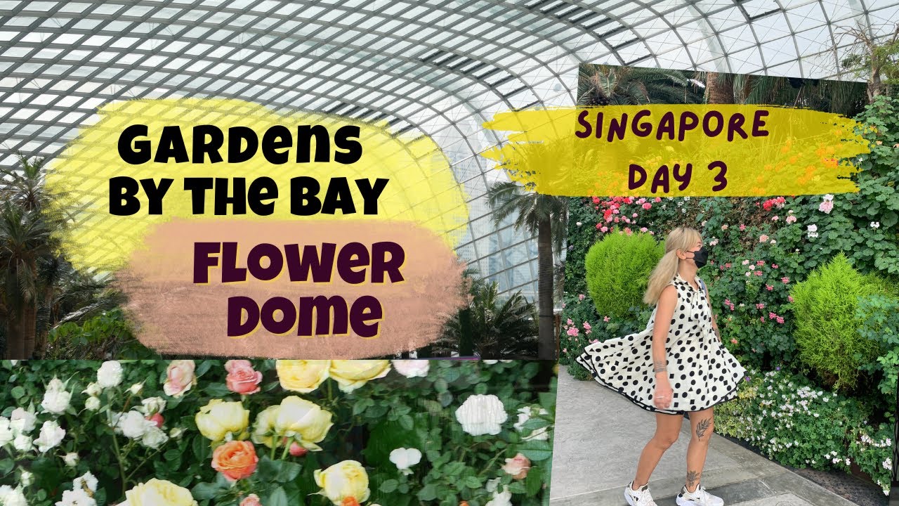 FLOWER DOME GARDENS BY THE BAY 🌿 SINGAPORE #singapore #singaporevlog #gardensbythebay #flowerdome