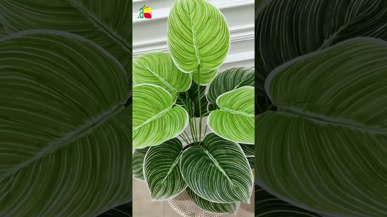 Bunga Artificial Tanaman Plastik D18T60 Monstera Keladi Aglonema B8180 florist bouquet